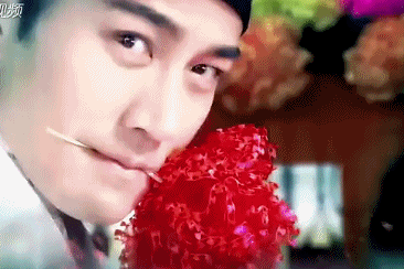 366_244gif 动态图 动图