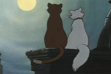 不用问保大保小！面相看男人是否靠谱