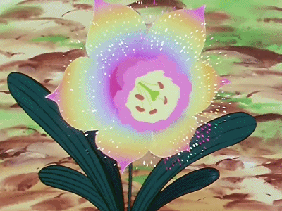 年底好运爆棚势不可挡的生肖