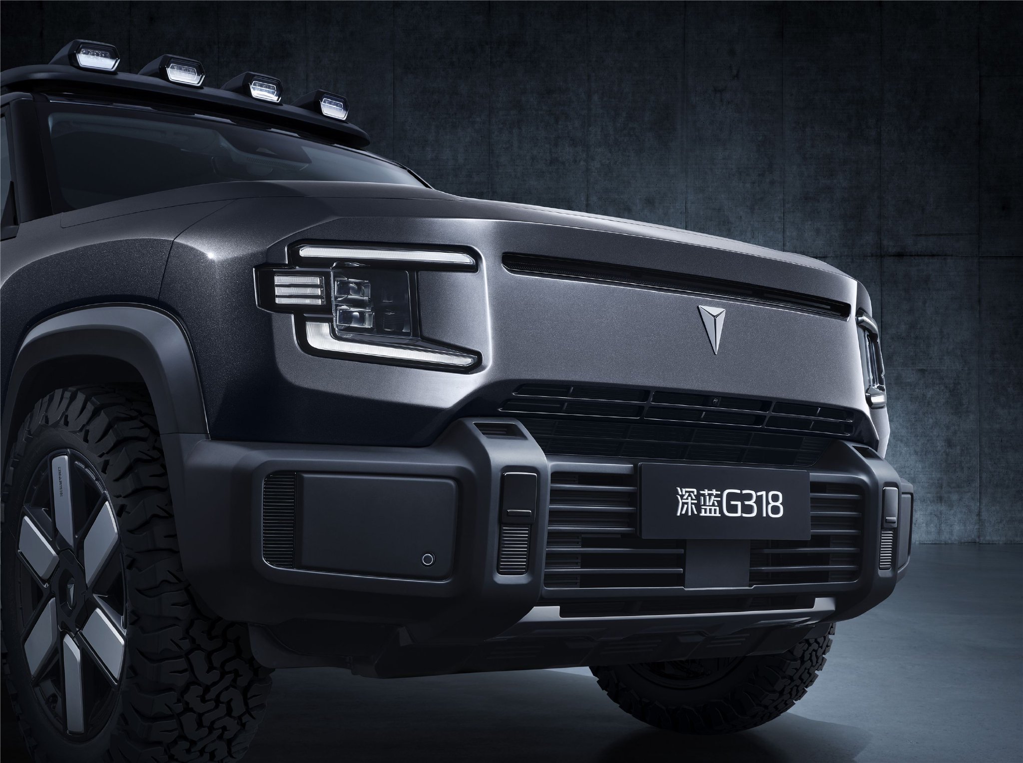 深蓝g318几种车型