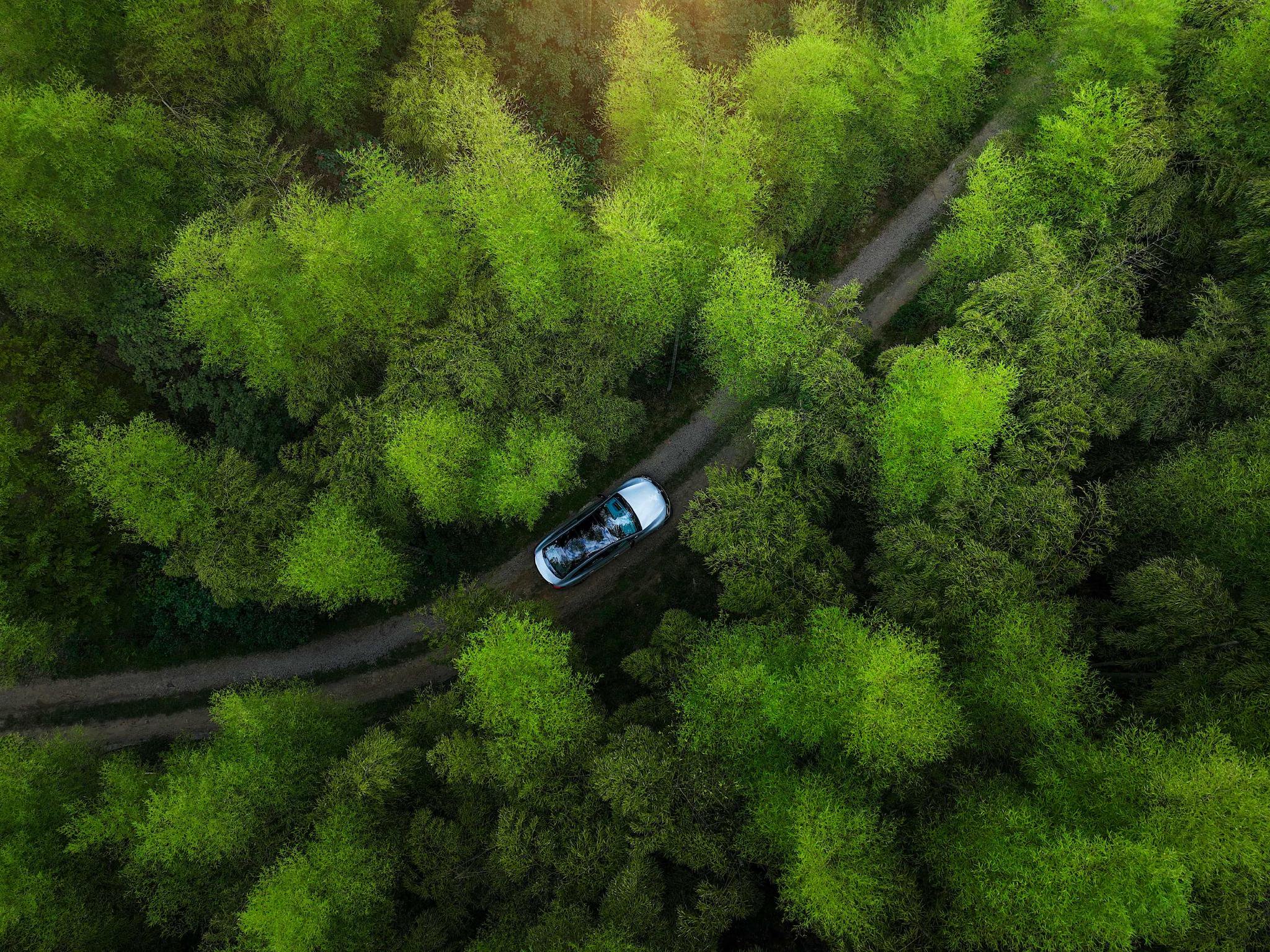 奔驰康林松：扎根中国 坚定电动化转型