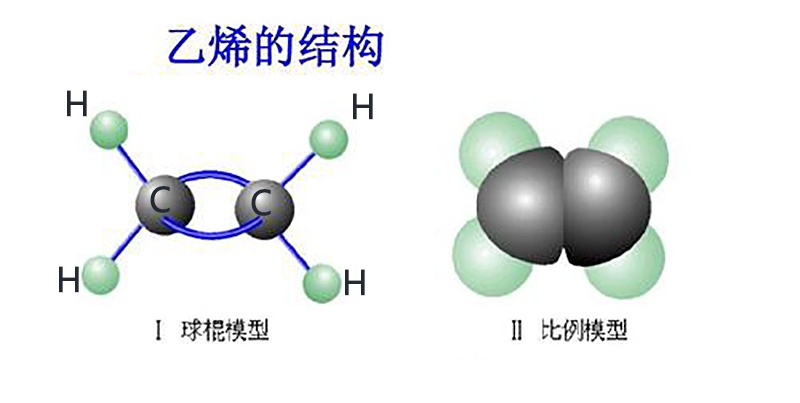 图片来源于网络