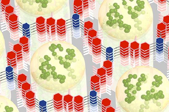 虽然从分子的角度来说的话，图中所示显然不是“改性COF”实际的样子，但至少能让人比较清楚地了解其内部各部分之间的排布