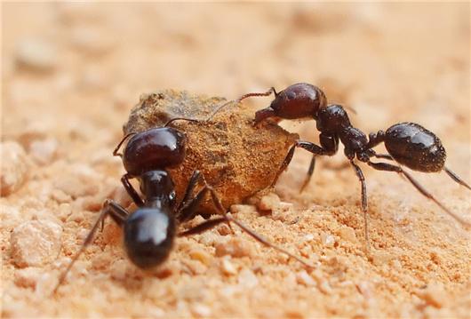 数说|车市开年不利 经销商不如回家种地