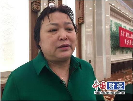 全国人大代表、长城汽车股份有限公司总裁王凤英&nbsp;