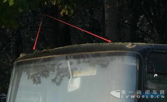 红色箭头：或为树木掉落的絮状物，粘贴在“安凯HFF6111K10EV型电动大巴”车顶（图片放大后的细节）