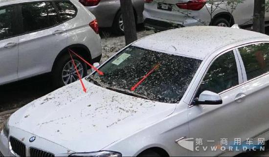 上图放大可见，这台宝马商品车前风雨刷器、风挡玻璃、前机盖和车顶处积攒的绪状杂物。