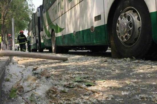 短期负面影响电动大巴推广