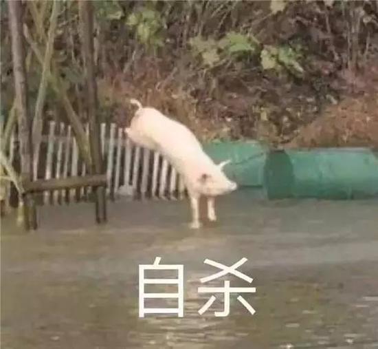 车掉进水里，开哪扇门最靠谱？