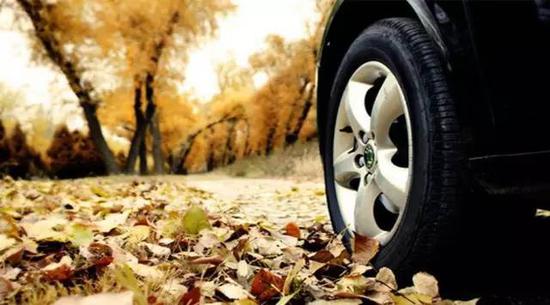 风暴雨过后，警惕树枝树叶成为车辆“杀手”！