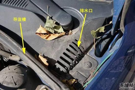 风暴雨过后，警惕树枝树叶成为车辆“杀手”！