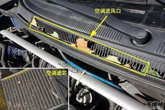 风暴雨过后，警惕树枝树叶成为车辆“杀手”！