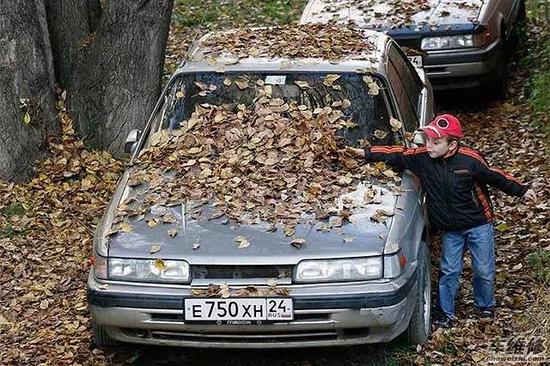 风暴雨过后，警惕树枝树叶成为车辆“杀手”！