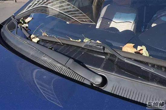 风暴雨过后，警惕树枝树叶成为车辆“杀手”！