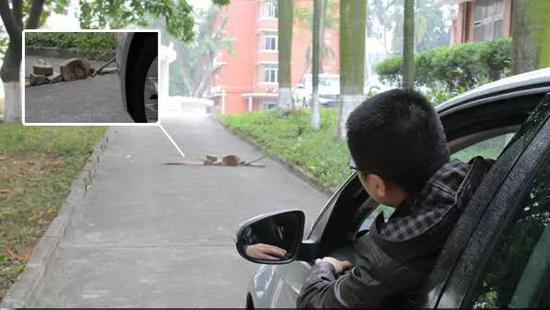 车上有这些记号？可能有大事发生！车主千万留心