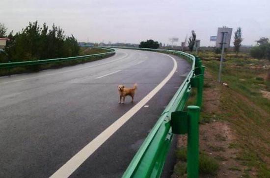 7月1日高速遇到这几种情况 别犹豫直接上!