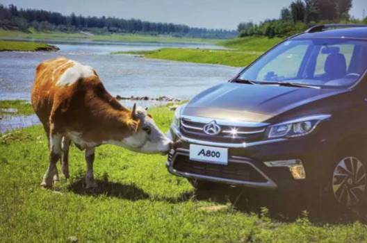 提前泄密：长安欧尚A800上市发布会，原来是这个样！