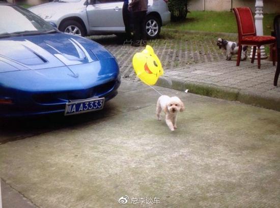 小区看到一辆跑车，比法拉利罕见，这车修车师傅也是头一次看到