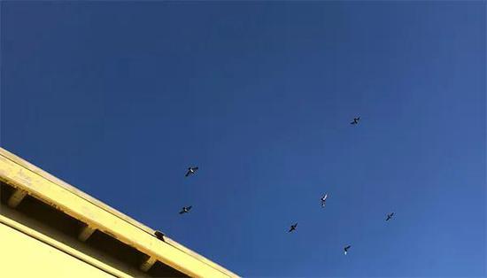 探访贾跃亭美国造车工厂：“除了大扫除刷漆，这里什么都没发生”