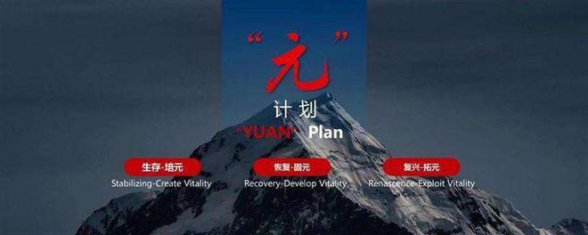 数说|法系车1月市占率仅0.27% “更中国”成止跌良药