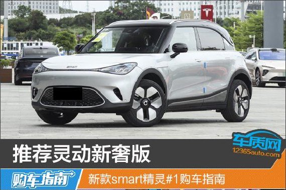 推荐灵动新奢版 新款smart精灵#1购车指南
