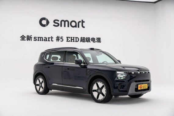 综合续航超1600km 静态体验smart精灵#5 EHD