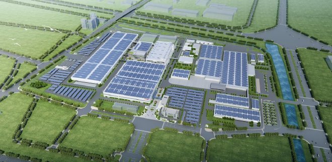 红树林生态体验营在湛江圆满结营