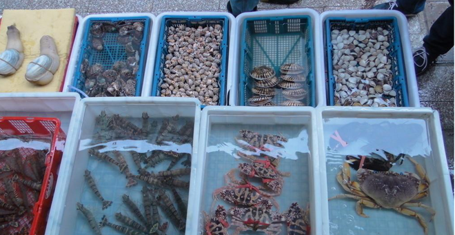 越冷越要约！新生代的饭局从伊兰特车内开始