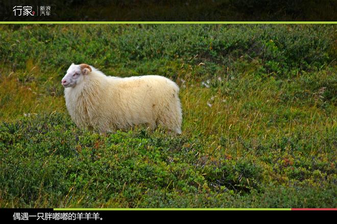 行家：环游冰岛D3 阿克雷里到博尔加峡湾