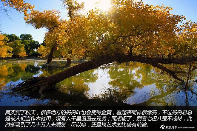 贷款购雷凌 省下5千去见证大西北的秀美