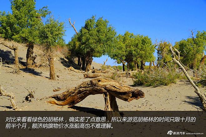 贷款购雷凌 省下5千去见证大西北的秀美