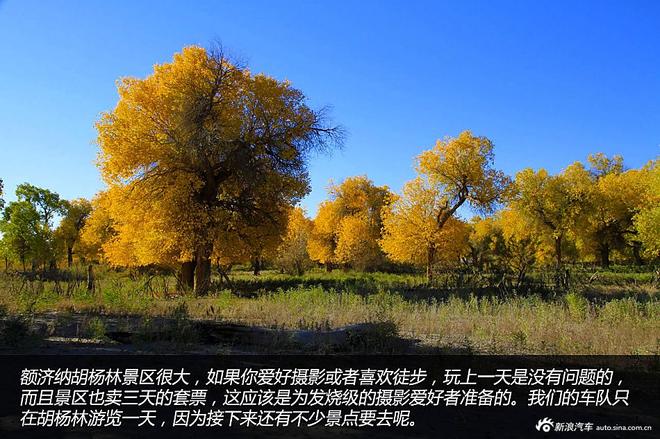 贷款购雷凌 省下5千去见证大西北的秀美