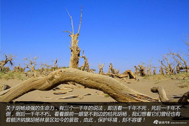 贷款购雷凌 省下5千去见证大西北的秀美