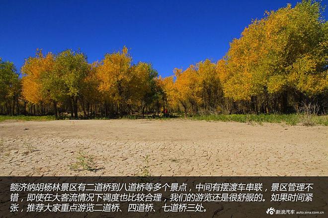 贷款购雷凌 省下5千去见证大西北的秀美