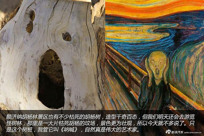 贷款购雷凌 省下5千去见证大西北的秀美