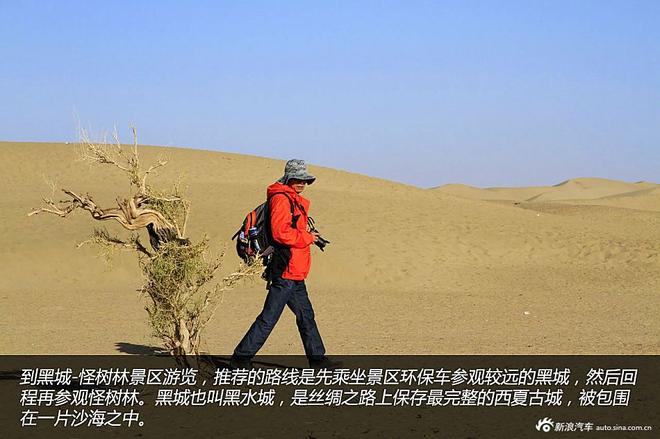 贷款购雷凌 省下5千去见证大西北的秀美