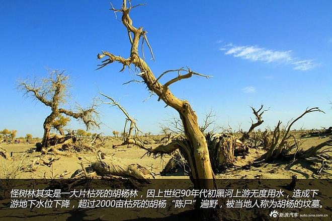 贷款购雷凌 省下5千去见证大西北的秀美