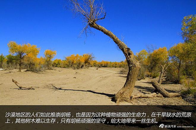 贷款购雷凌 省下5千去见证大西北的秀美