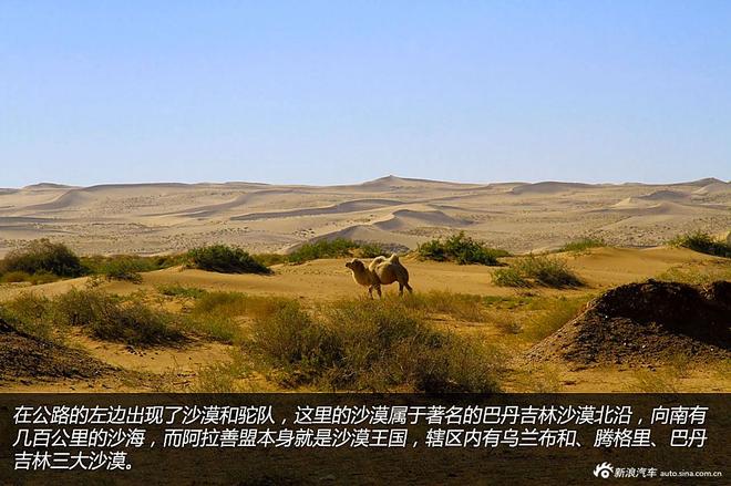 贷款购雷凌 省下5千去见证大西北的秀美