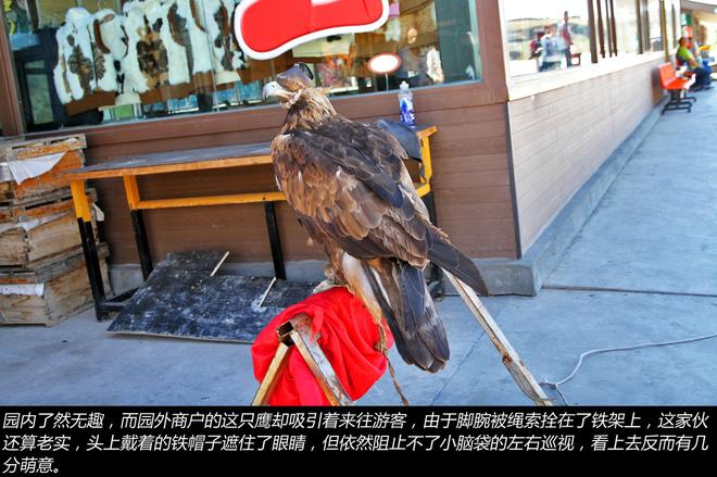 逸致贷款省5千 自驾去探索神秘的喀纳斯