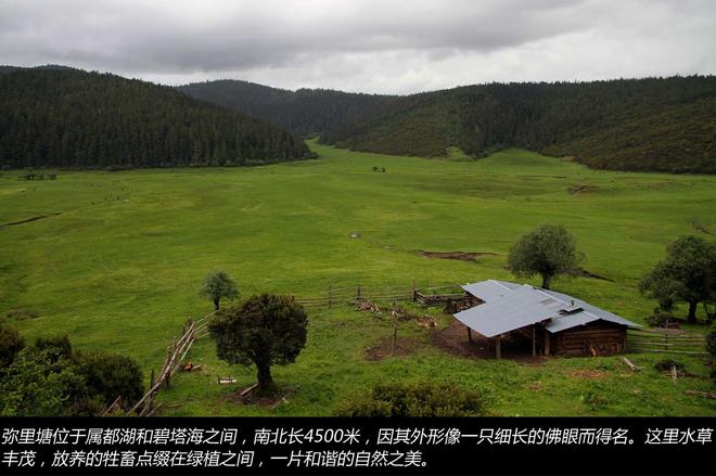 凯美瑞贷款免息1万元 走趟香格里拉