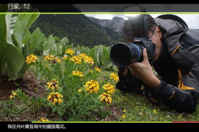 追寻“植物猎人”印记，高山植物探索之旅