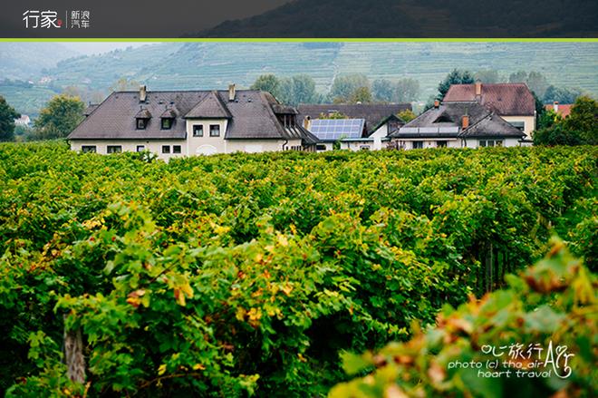 美酒配古堡 自驾环游奥地利瓦豪河谷