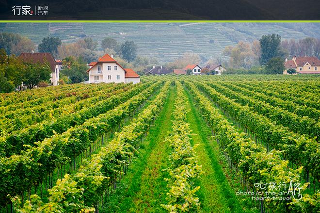 美酒配古堡 自驾环游奥地利瓦豪河谷