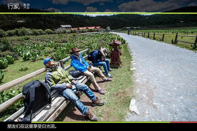 追寻“植物猎人”印记，高山植物探索之旅