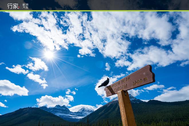 手把手教你用C牌驾照征服9.8米长大房车