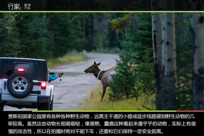 手把手教你用C牌驾照征服9.8米长大房车