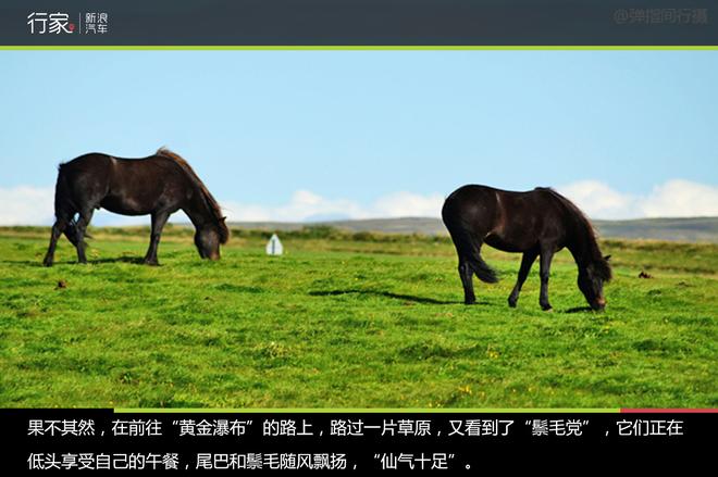 行家：去冰岛环岛自驾非去不可的黄金圈