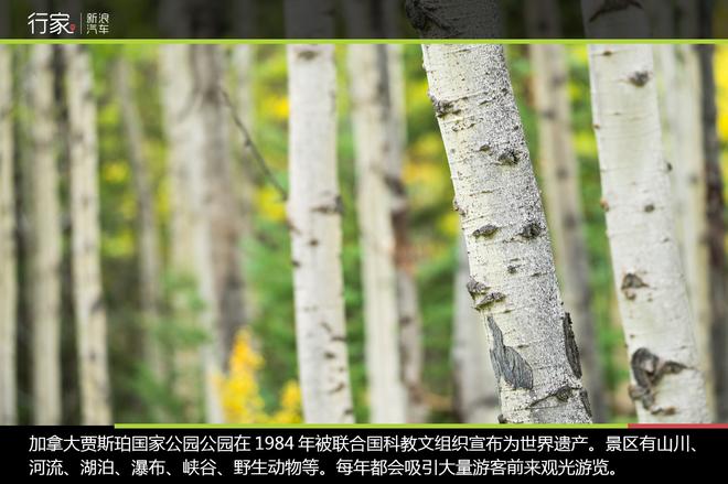 手把手教你用C牌驾照征服9.8米长大房车