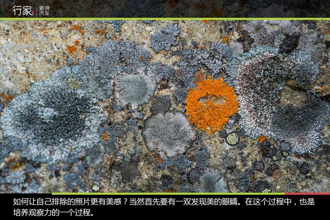 手把手教你用C牌驾照征服9.8米长大房车